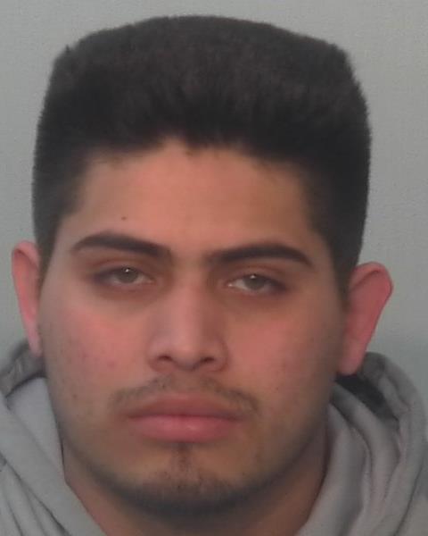 Photo of Creivi Briceno-medina