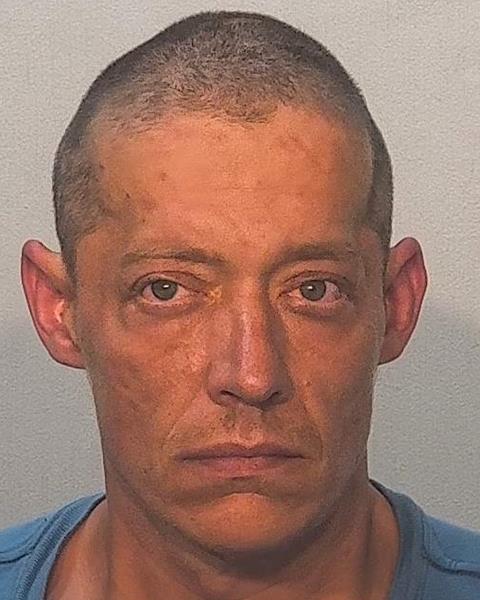 Photo of Thomas Cashman