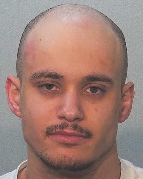 Photo of David Johnson